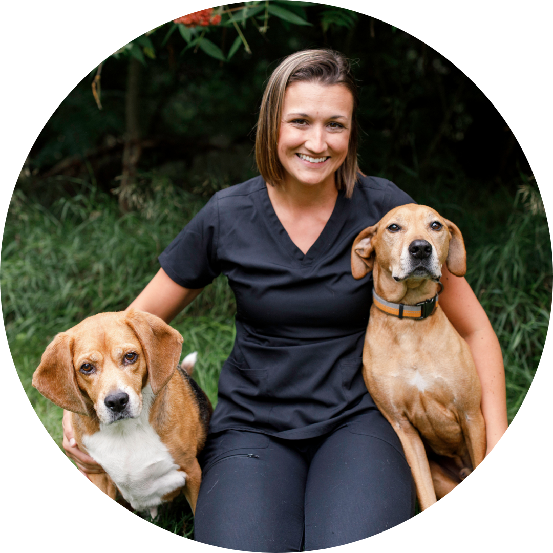 Dr Good Rockford Animal Hospital